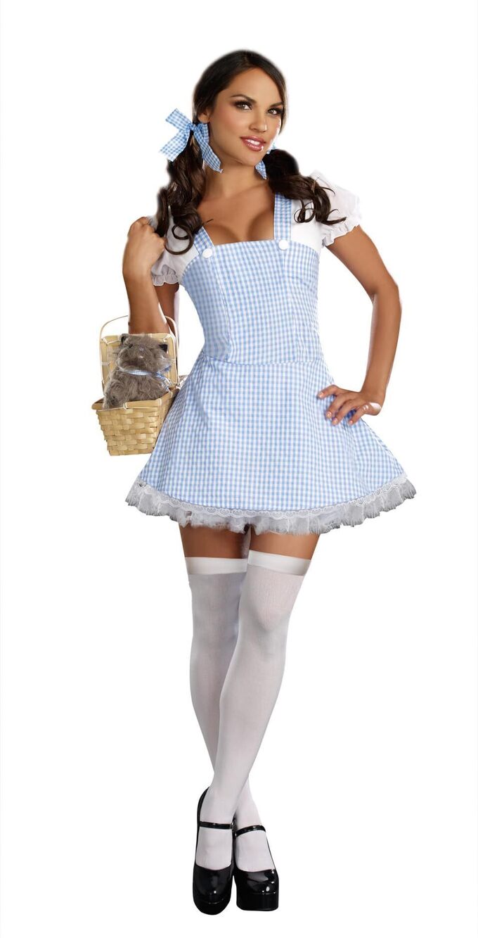 9549 Gingham Dress, Light Blue, Small